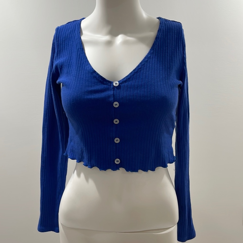 Pacsun Long Sleeve Crop Top